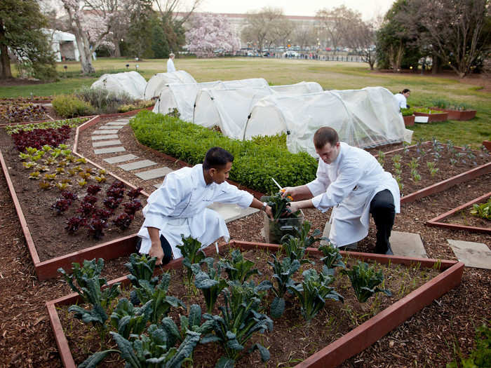 The 2,800-square foot garden provides the White House