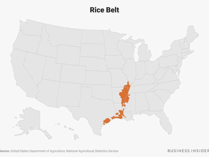 Rice Belt