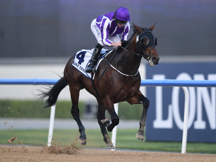 14. Mendelssohn (5/1)