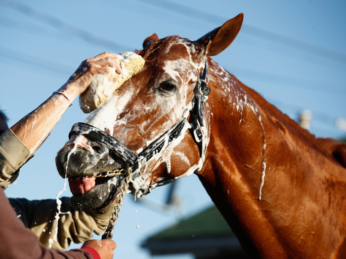 7. Justify (3/1)