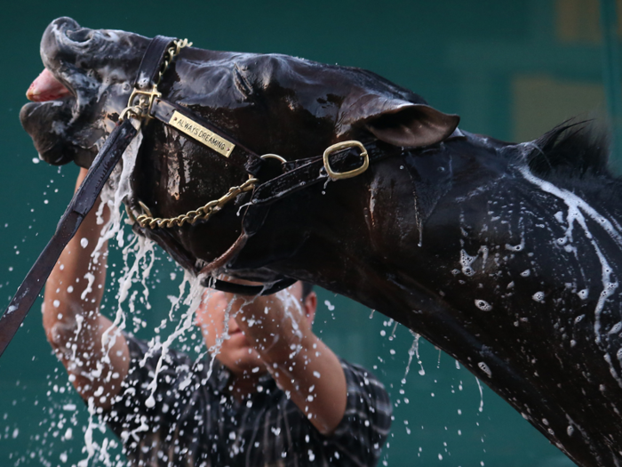 How to pick winners at the track