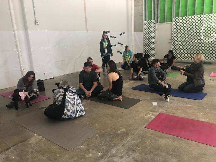 While most goat yoga sessions are guided, the one I went to was a do-it-yourself kind of class — if you can call it that.