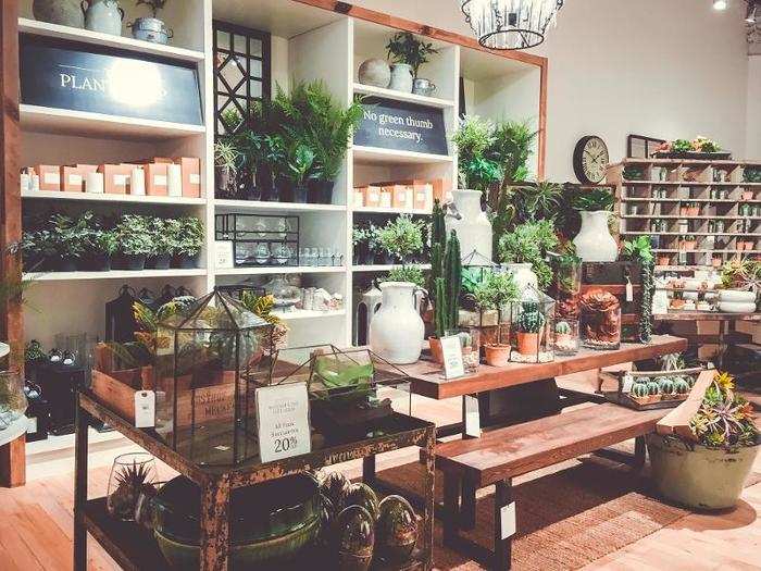 ... a wall of faux plants and decor ...