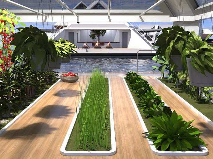 Lazzarini imagines the greenhouse would grow a range of crops, including greens and tomatoes.