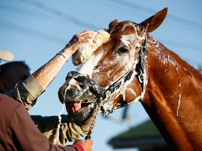 More Preakness Stakes 2018: