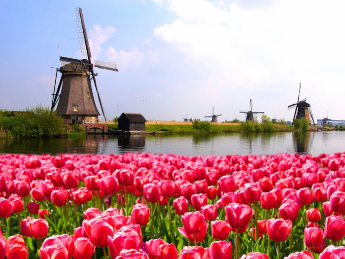 14. Netherlands — $56,435