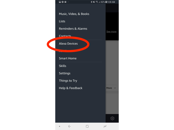 Then tap Alexa Devices.
