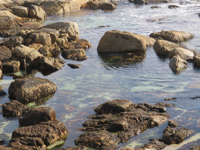 Some households are finding solutions to the water shortage, but price can prevent Capetonians from doing so. Boreholes to tap into aquifers cost $6,000 and machines that turn moisture into drinking water cost $2,000. Some are going that route, but the price is prohibitive for many.