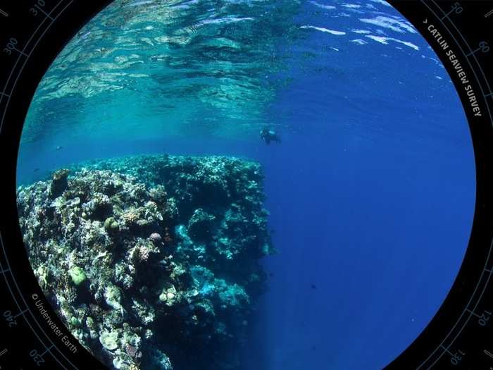 The Great Barrier Reef and most other coral reefs around the globe could almost entirely die off within a few decades, leaving mostly dead structure in their places.