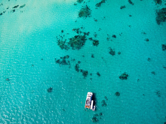 The Australian government has said the reef contributes at least $6.4 billion a year to the economy, and that at least 64,000 people have jobs that depend on the reef.