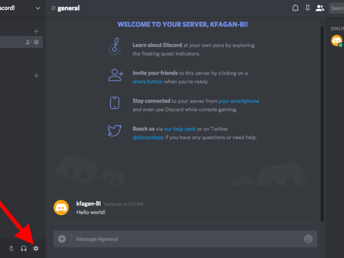 You can customize your Discord experience by going into the settings area.