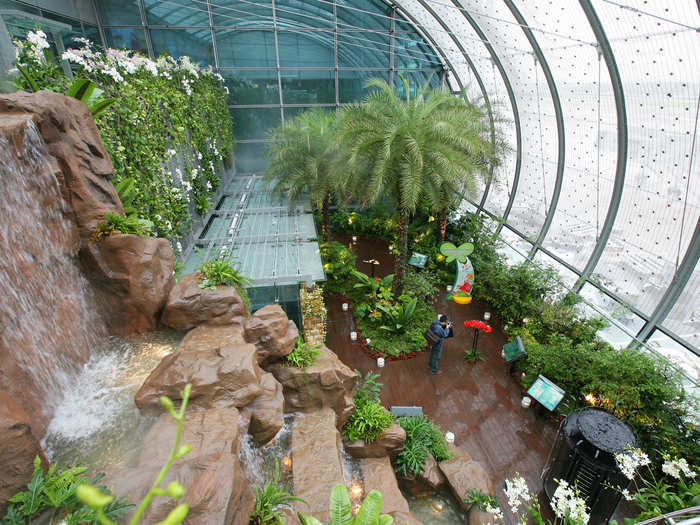 And the butterfly garden at Terminal 3, where travelers can while away their layover by spotting over 1000 exotic butterflies.