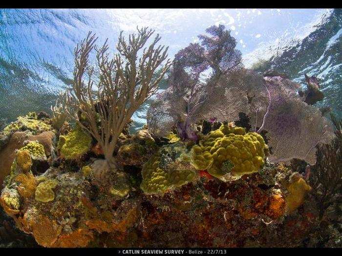 Belize Barrier Reef Reserve System, Belize