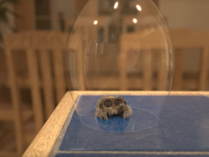 The first few videos of Lucas the Spider went viral earlier this year. The video from January pictured below, titled "Captured," has more than 17 million views on YouTube.