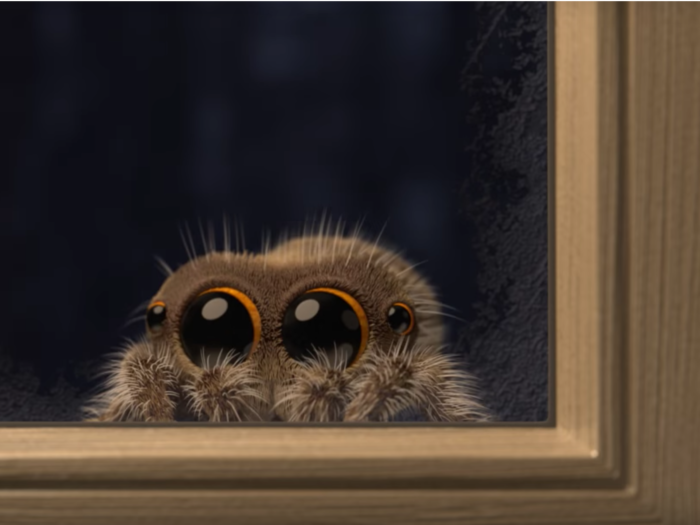 The "Lucas the Spider" cartoon was created by Joshua Slice, an animator who has worked on Disney blockbusters like "Big Hero Six" and "Zootopia."