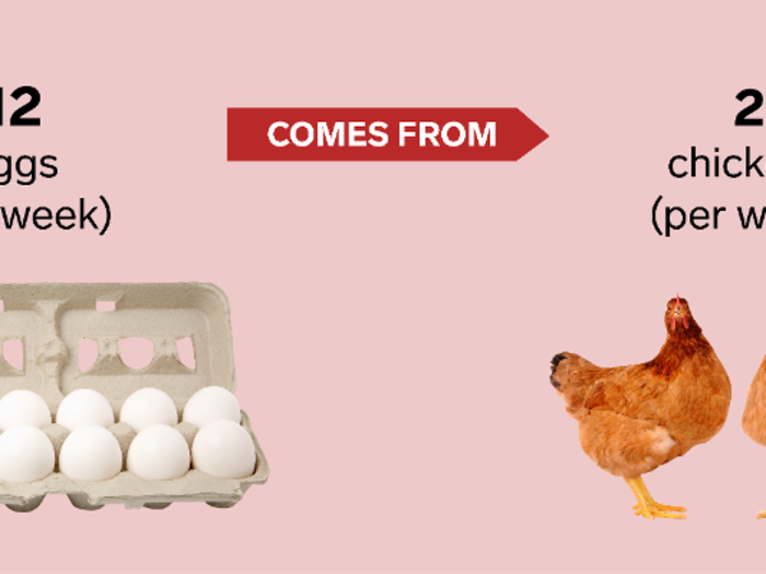 It takes two chickens an average of one week to lay a dozen eggs.