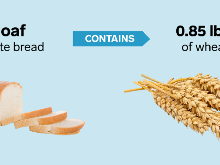 One loaf of bread requires just under a pound of wheat.