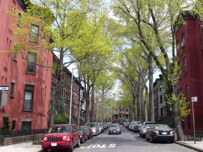 Brooklyn CD 6: Park Slope, Carroll Gardens & Red Hook