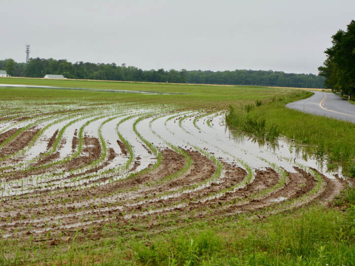 Delaware