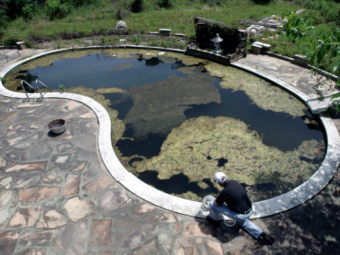 This abandoned swimming pool in New Orleans is a breeding ground for mosquitoes. Scientists regularly introduce 