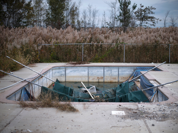 Nature has started to take over this pool, another one abandoned in Staten Island after Hurricane Sandy.