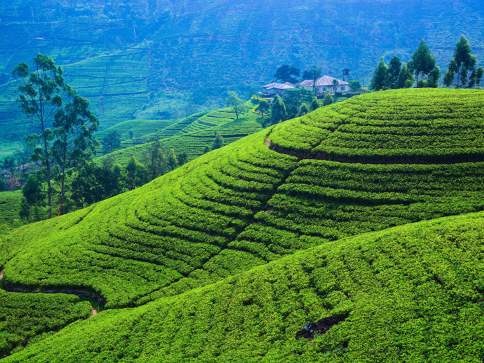 Sri Lanka