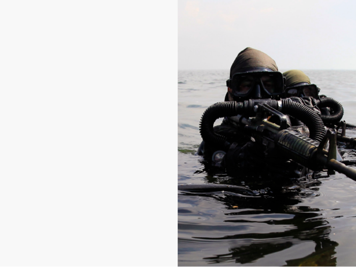 The Navy SEALs are named after the environments they operate in.