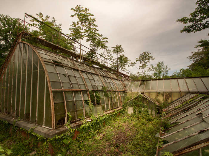 Today, 11 acres of the park are open to the public, and the Center for International Cooperation in Agricultural Research for Development occupies the rest.