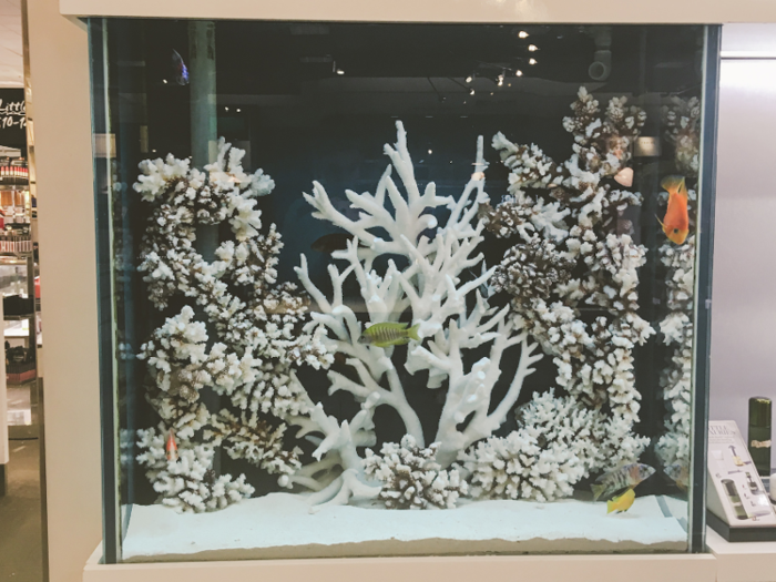 Some of the cosmetics displays were over-the-top. The Lancôme counter, for example, had a huge fish tank as part of the display.