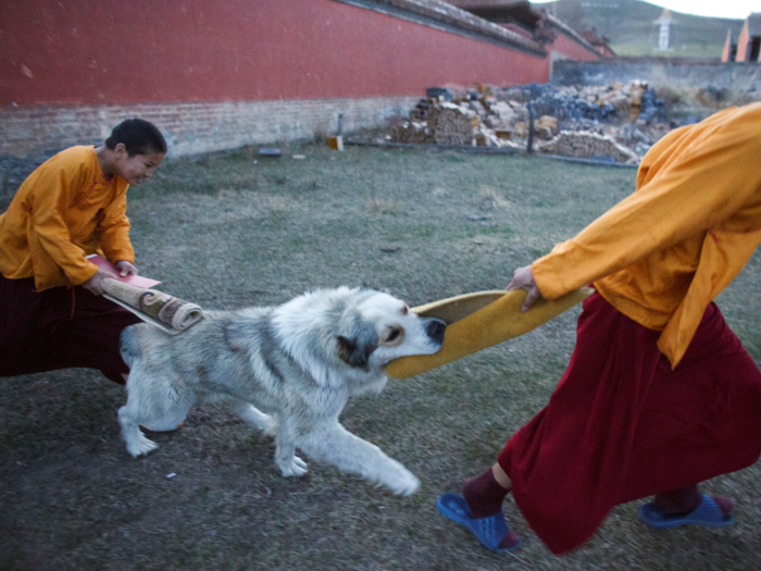 And they play with dogs after their evening prayers have concluded.