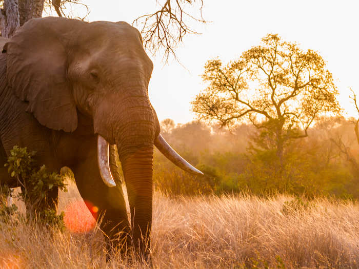 5. Tswalu Kalahari, South Africa