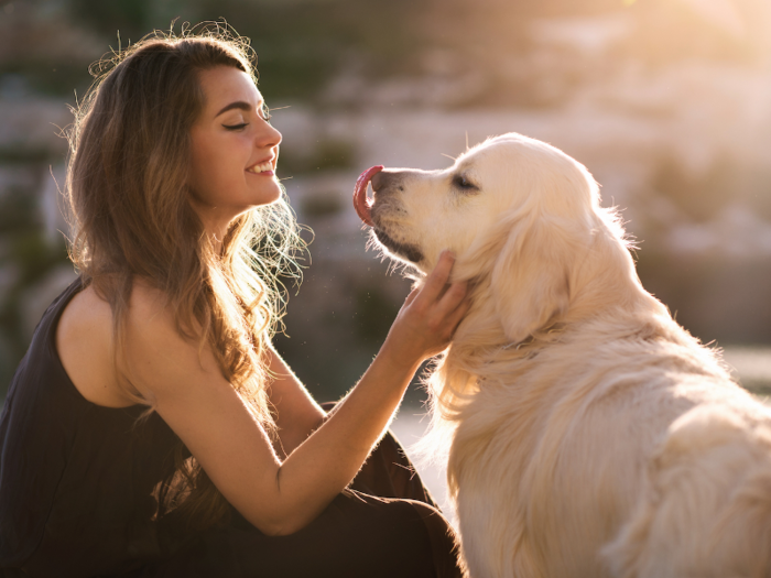 Boarding your pets