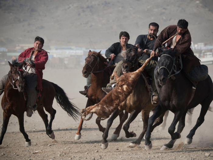 In the Afghani sport buzkashi, players on horseback try to toss a decapitated goat carcass into the 