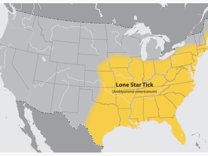 These ticks cause a number of different illnesses, including one little-understood one that