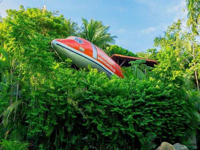 But this area in Costa Rica has clearly been reborn, just like the Boeing 727 home. In its former life, the 727 plane flew on routes conducted by South Africa Air and the Colombian aviation company Avianca Airlines. You could say it