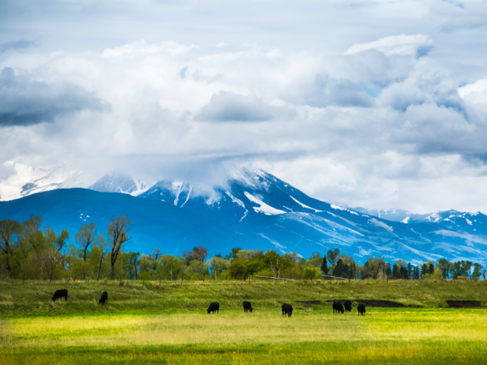 32. 59715: Bozeman, Montana