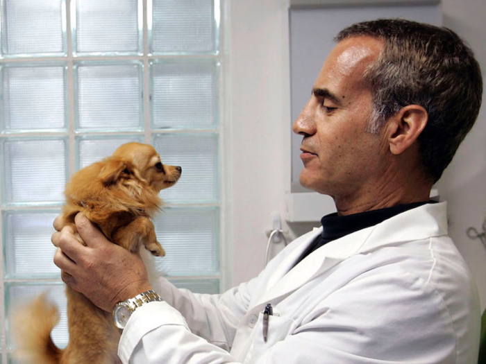 6. Small dogs experience different dental issues than larger breeds