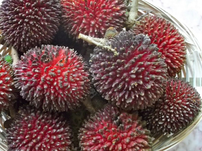 Pulasan has a tough exterior, but it