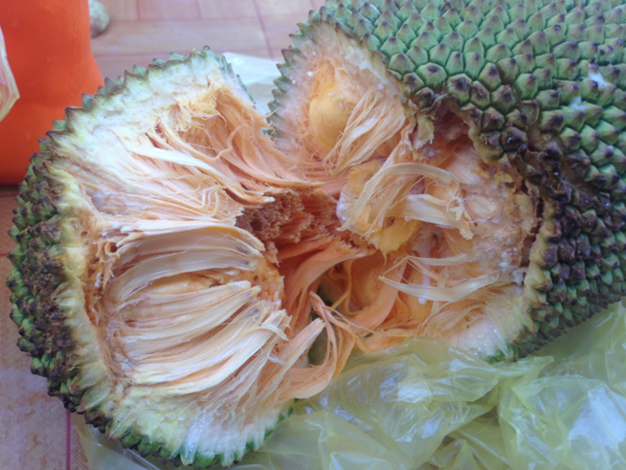 Another gargantuan fruit from Malaysia is the cempedak — pronounced with a "ch" sound. The pods inside a cempedak are a lot harder to reach than those of a jackfruit.