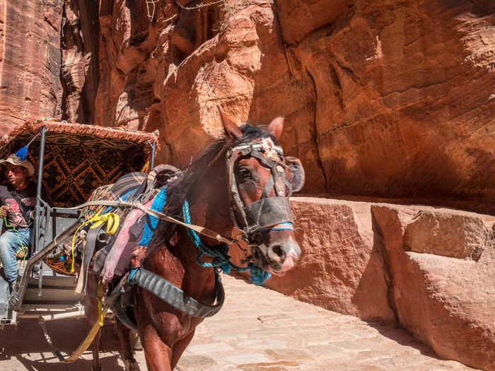 You have to stay alert when walking down the Siq. At some parts it is less than 10 feet wide. The Bedouins often barrel through on horse carriages carrying tourists. They won