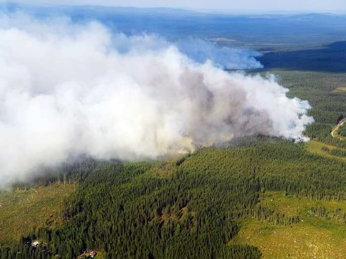 Wildfires torched the countryside of Sweden, hitting areas above the Arctic Circle with flames.