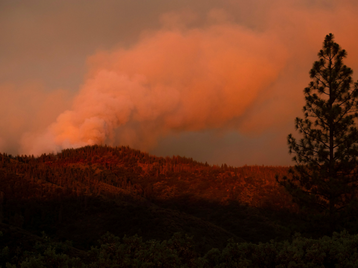 The evacuated areas are expected to reopen July 29.