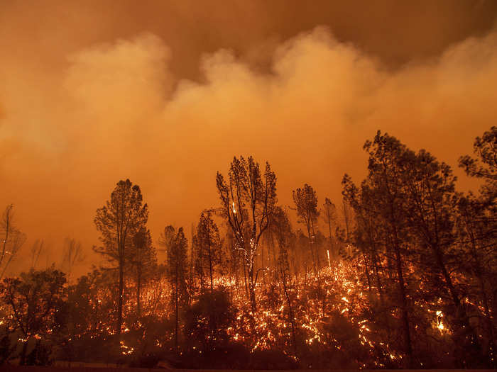 In an interview with The New York Times, McLean compared it to the Tubbs Fire that burned through Napa and Sonoma county last year.