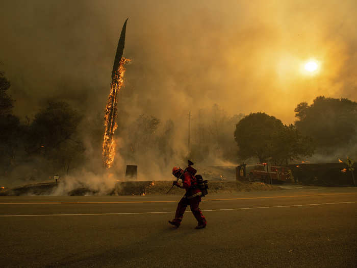 The Carr Fire is "taking down everything in its path," Scott McLean, a Cal Fire spokesman told The Associated Press. "It