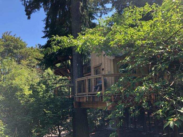 From up here, though, you can see the third and final treehouse, including its little balcony section. This guy was soaking in the summer sun, and enjoying the unusually warm Washington weather.