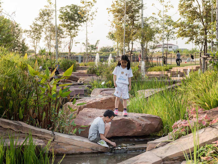 The raised green roof directs runoff water through sloped rain gardens with native plants.