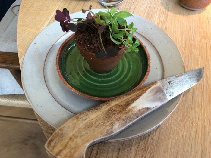 Just as it started, our epic, three hour long lunch ended with a potted plant.