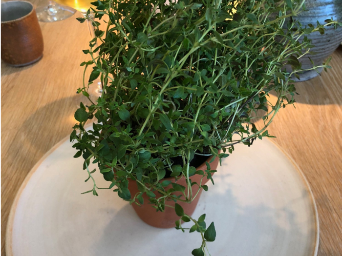 You’re immediately presented with your first dish — a potted plant. Mine was the herb thyme.