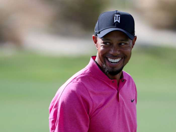 Now check out what the life of Tiger Woods is like when he