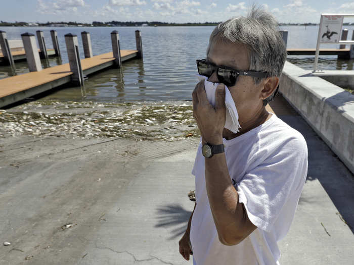 The shore smells terrible. But people can face worse consequences of the blooms.